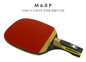 엑시옴 M6.0P