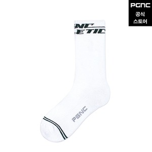 PCS-1000 / PCS-2000 