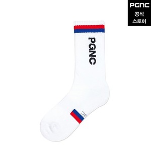 PCS-1100 / PCS-2100 